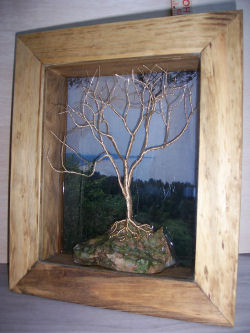 Tree in Frame